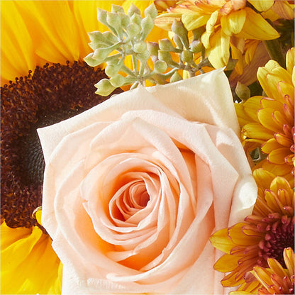 Pumpkin to Talk About Bouquet –  Nicholasville Florist, Nicholasville KY