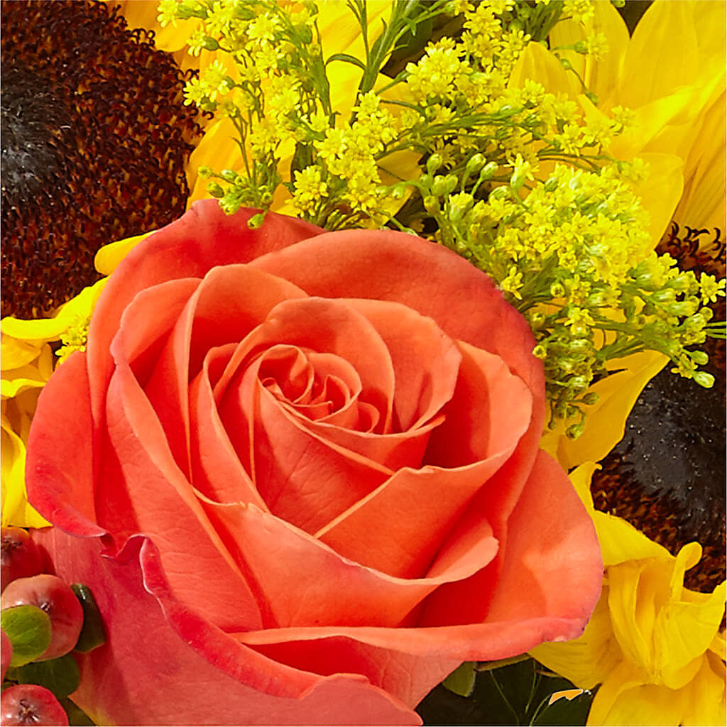 Pick of the Patch Pumpkin Bouquet –  Nicholasville Florist, Nicholasville KY