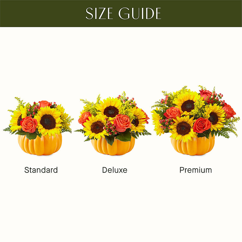 Pick of the Patch Pumpkin Bouquet –  Nicholasville Florist, Nicholasville KY
