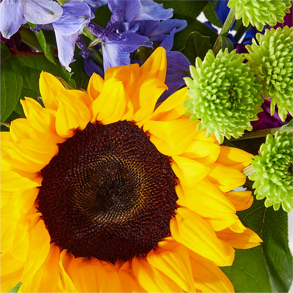 Catching Rays Bouquet –  Nicholasville Florist, Nicholasville KY