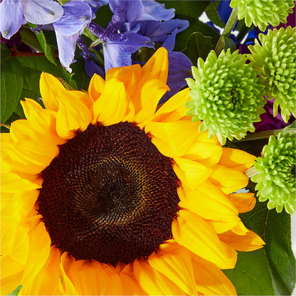 Catching Rays Bouquet –  Nicholasville Florist, Nicholasville KY