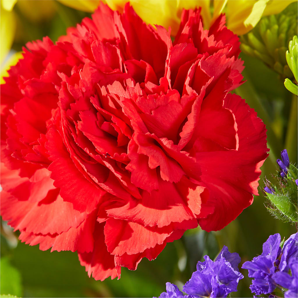 Brighter Days Bouquet –  Nicholasville Florist, Nicholasville KY