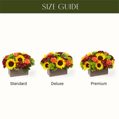Happy Harvest Garden –  Nicholasville Florist, Nicholasville KY