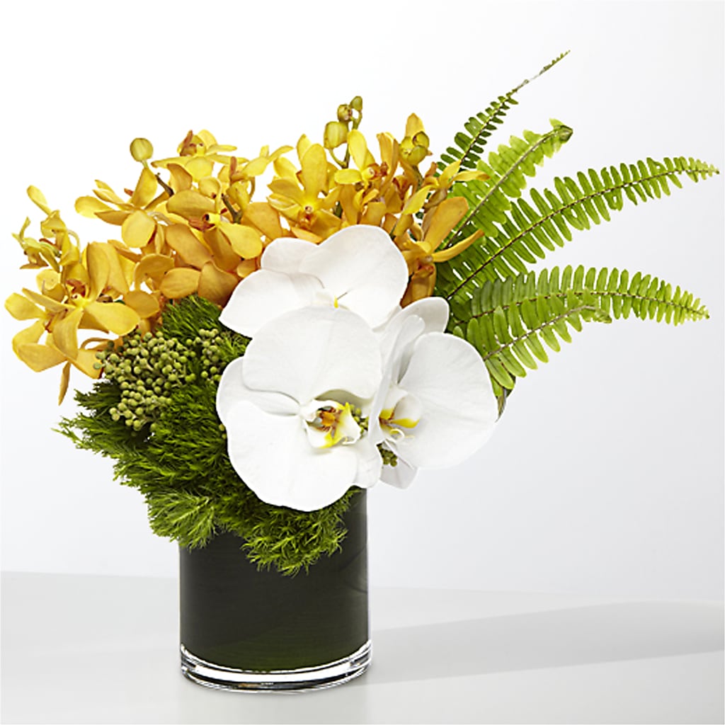 The Tropics –  Nicholasville Florist, Nicholasville KY