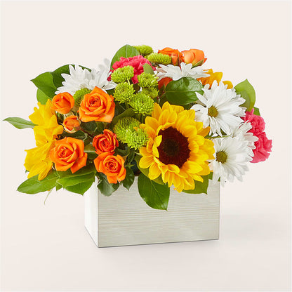 Sun-drenched Blooms Box Bouquet –  Nicholasville Florist, Nicholasville KY