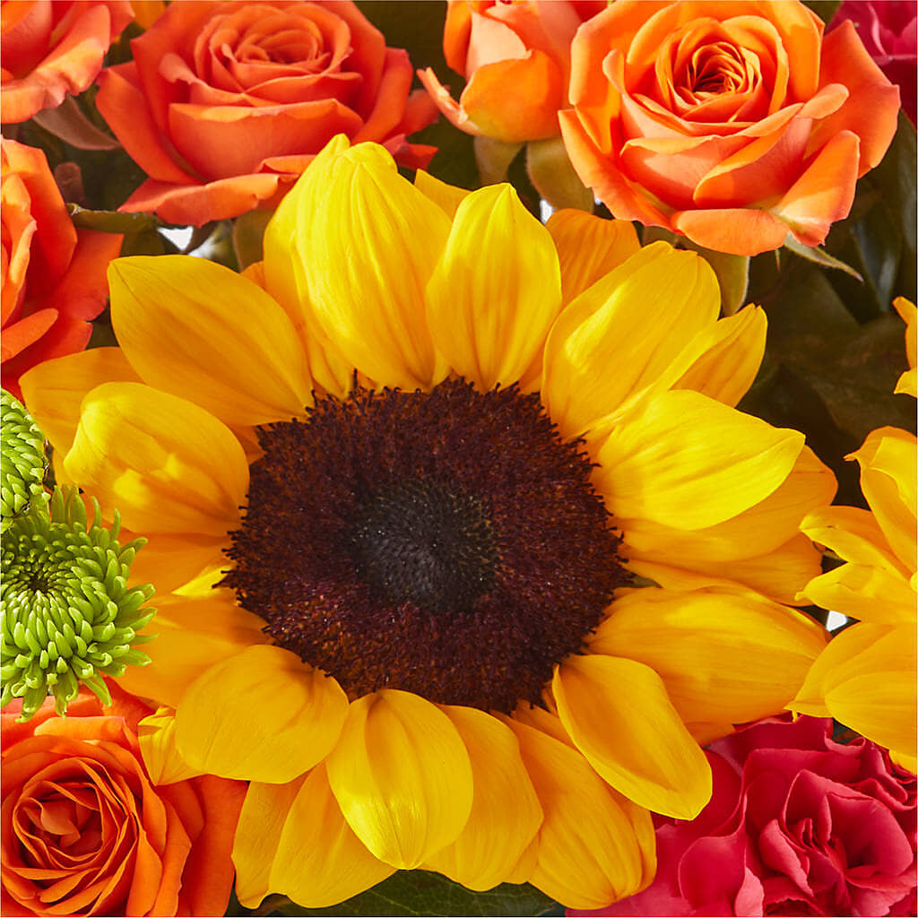 Sun-drenched Blooms Box Bouquet –  Nicholasville Florist, Nicholasville KY