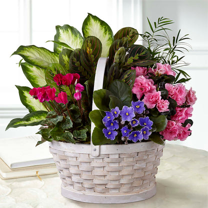 Peaceful Garden Planter –  Nicholasville Florist, Nicholasville KY
