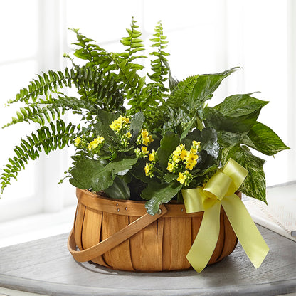 Always Dear Dishgarden –  Nicholasville Florist, Nicholasville KY