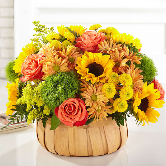 Harvest Sunflower Basket –  Nicholasville Florist, Nicholasville KY