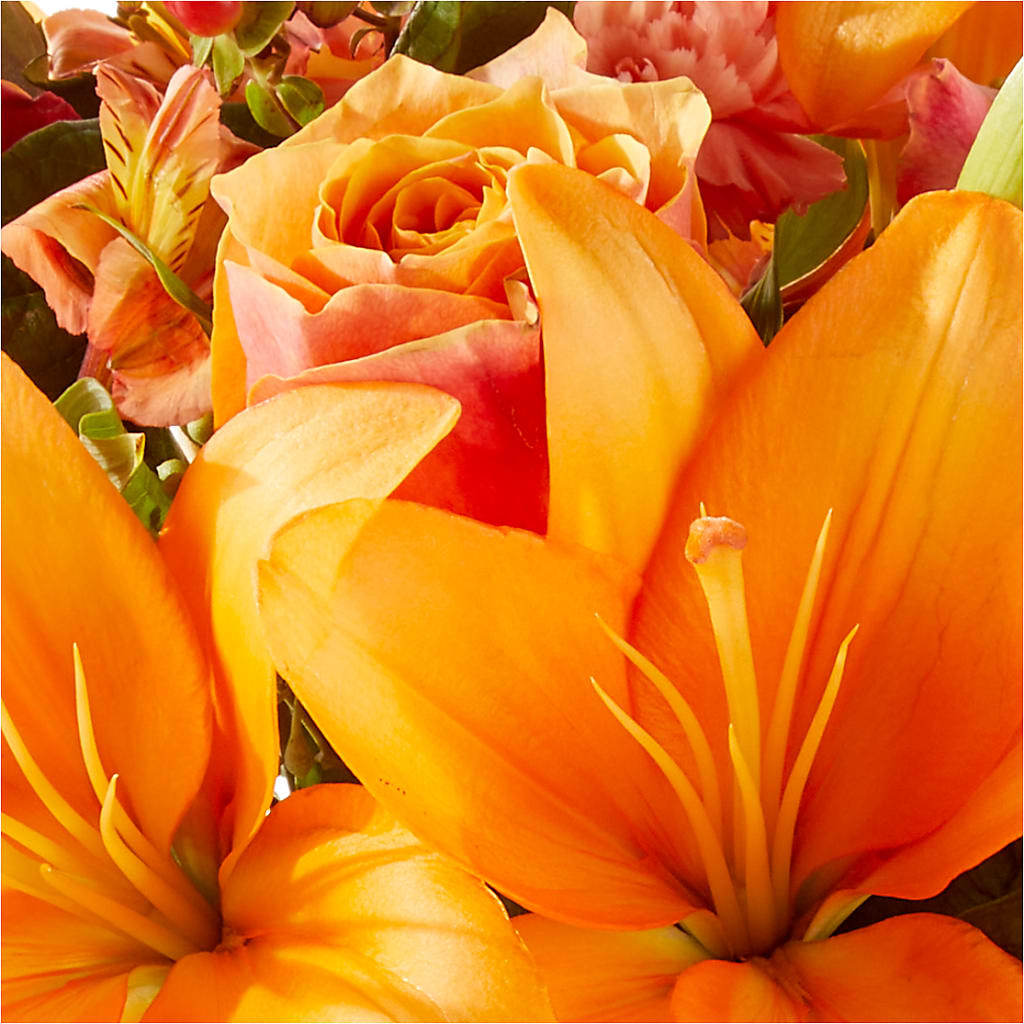 Afternoon Light Bouquet –  Nicholasville Florist, Nicholasville KY