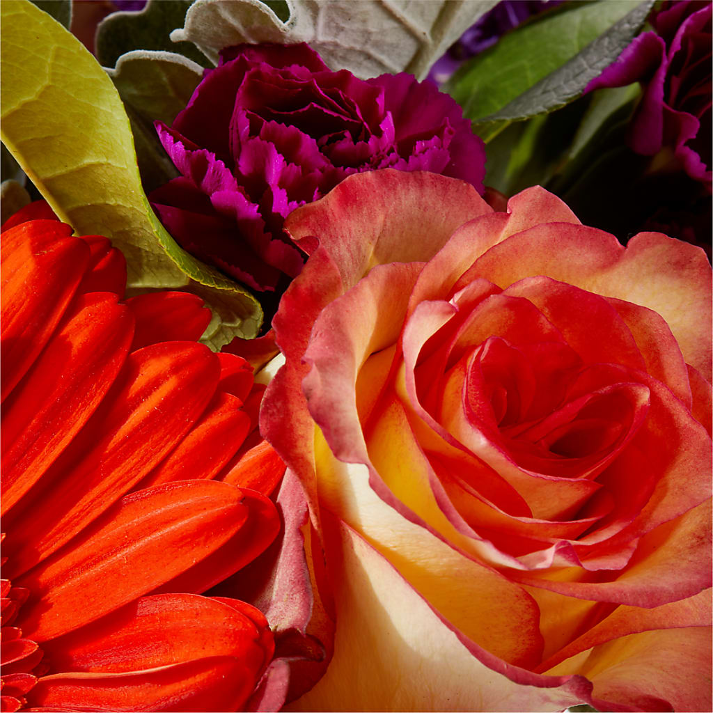 Sangria Bouquet –  Nicholasville Florist, Nicholasville KY