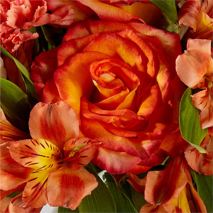 Apricot Glow Bouquet –  Nicholasville Florist, Nicholasville KY