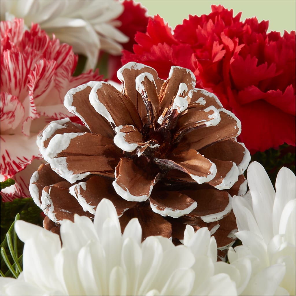Candy Cane Lane Bouquet –  Nicholasville Florist, Nicholasville KY