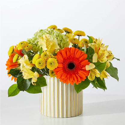 Autumn Sunshine Bouquet with Ivory Vase –  Nicholasville Florist, Nicholasville KY