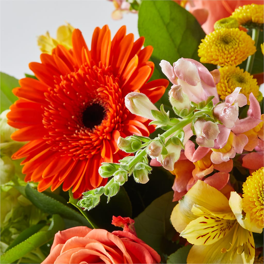 Autumn Sunshine Bouquet –  Nicholasville Florist, Nicholasville KY