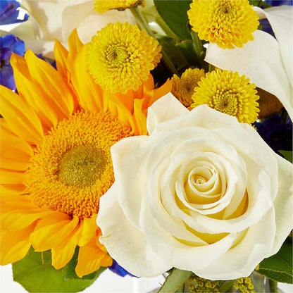 Stargazing Bouquet –  Nicholasville Florist, Nicholasville KY