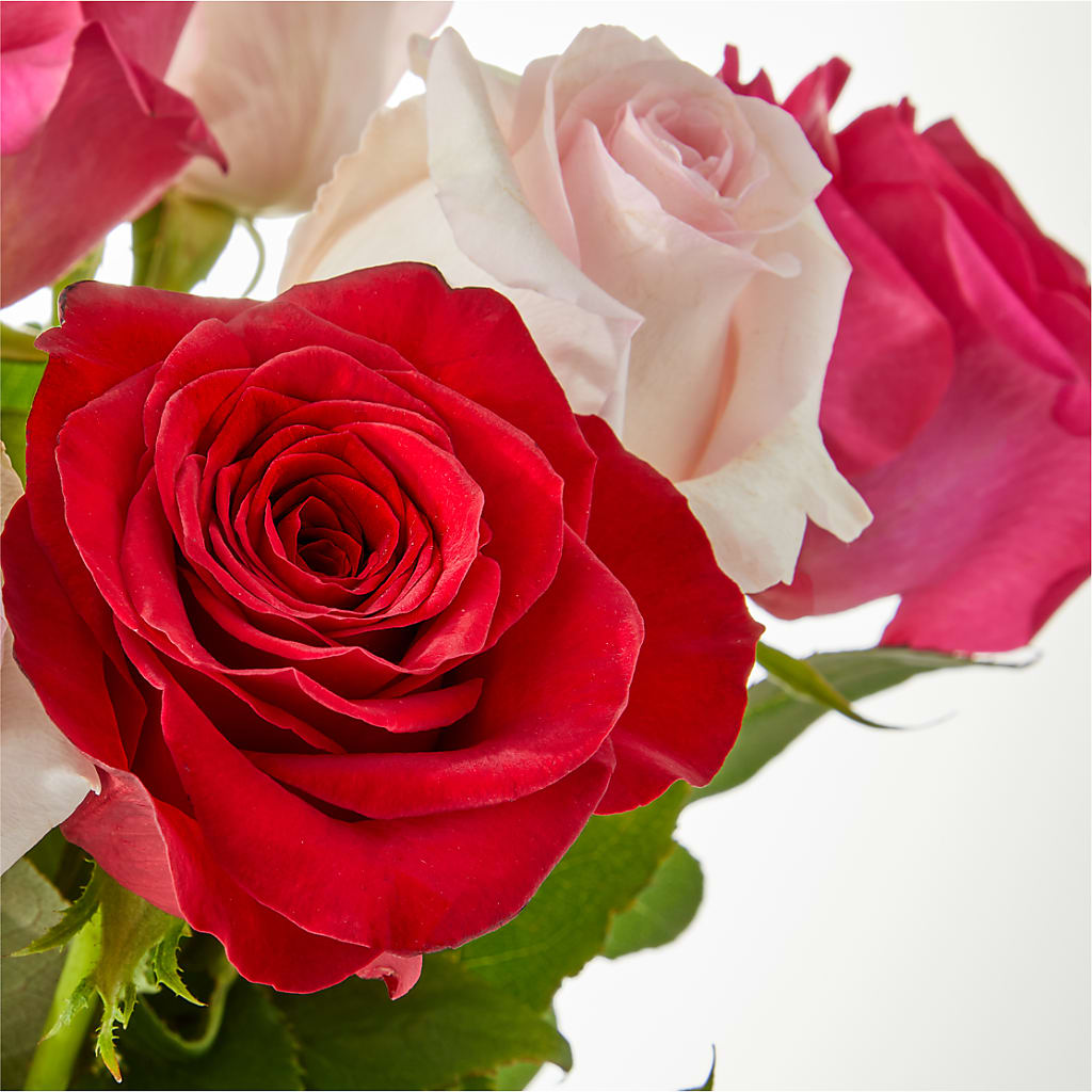 Charming Rose Bouquet –  Nicholasville Florist, Nicholasville KY