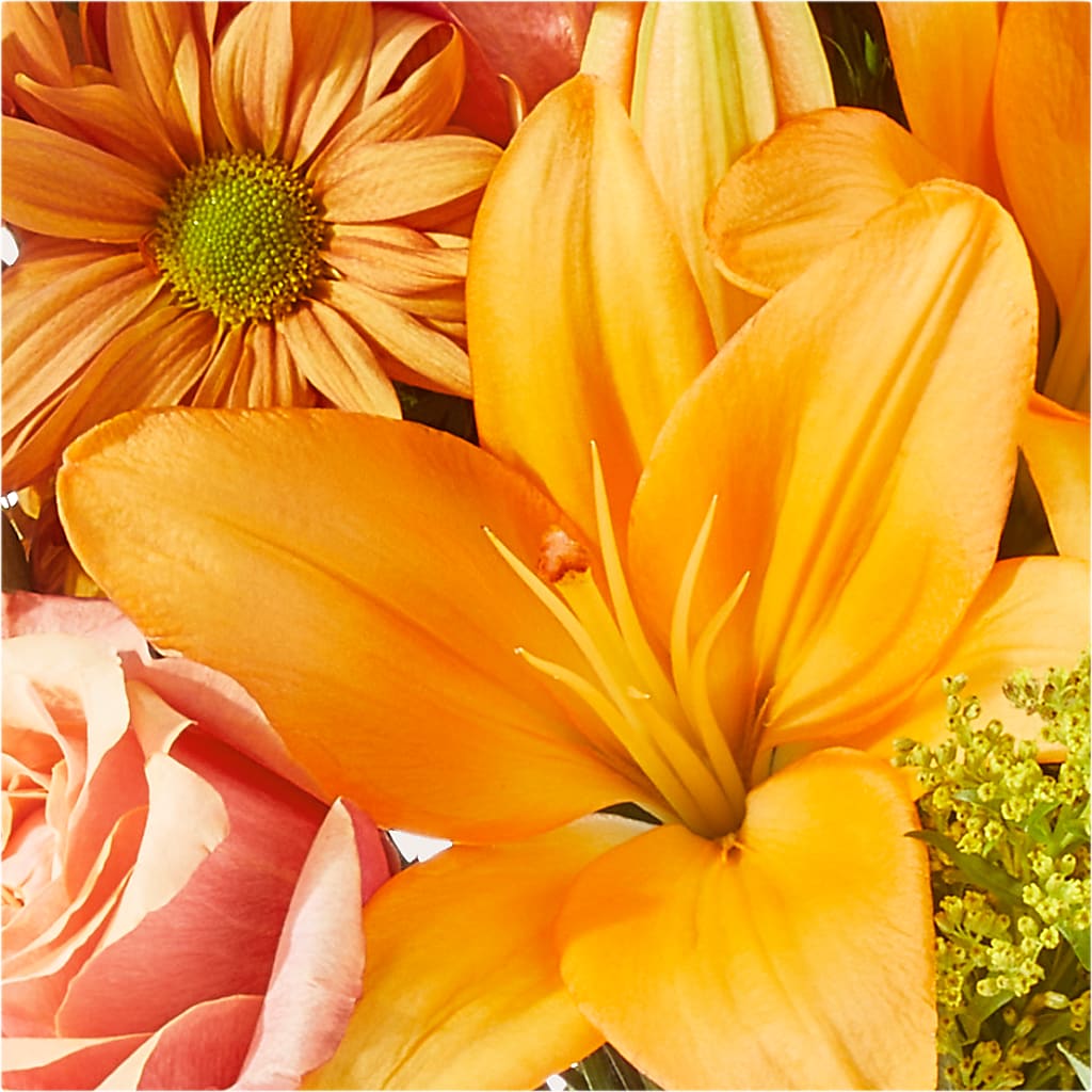 Harvest Hayride Bouquet –  Nicholasville Florist, Nicholasville KY