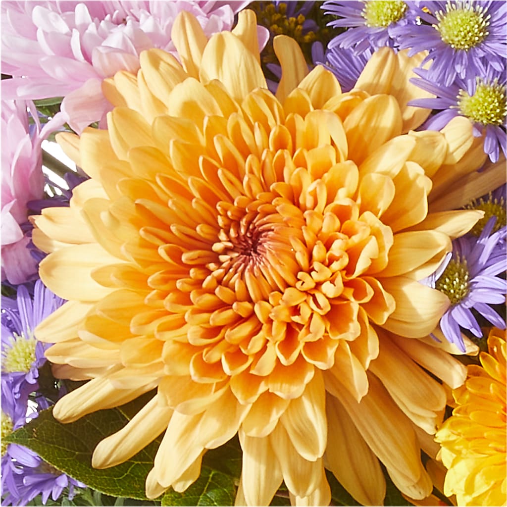 Countryside Bouquet –  Nicholasville Florist, Nicholasville KY