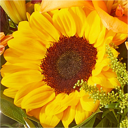 Seasons Change Bouquet –  Nicholasville Florist, Nicholasville KY