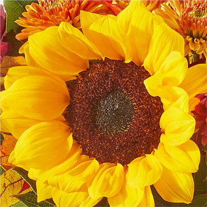 Sunny Side Bouquet –  Nicholasville Florist, Nicholasville KY