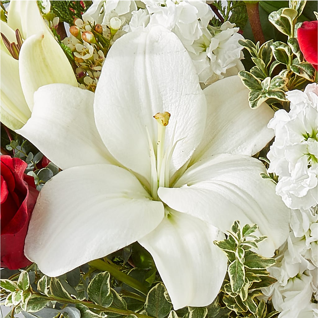 Twinkle Lights Bouquet –  Nicholasville Florist, Nicholasville KY