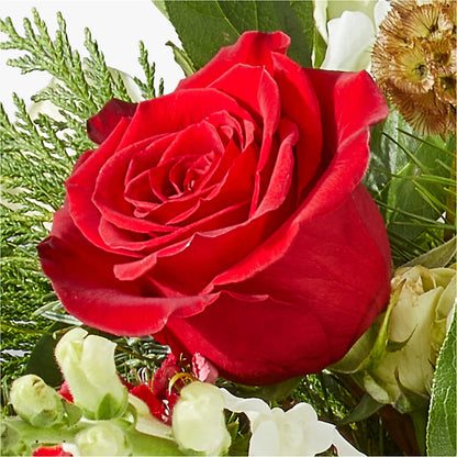 Deck the Halls Bouquet –  Nicholasville Florist, Nicholasville KY