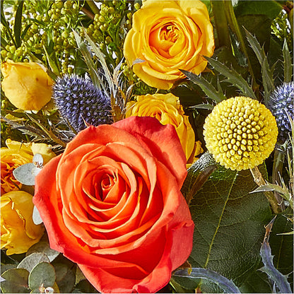 Disco Bouquet –  Nicholasville Florist, Nicholasville KY