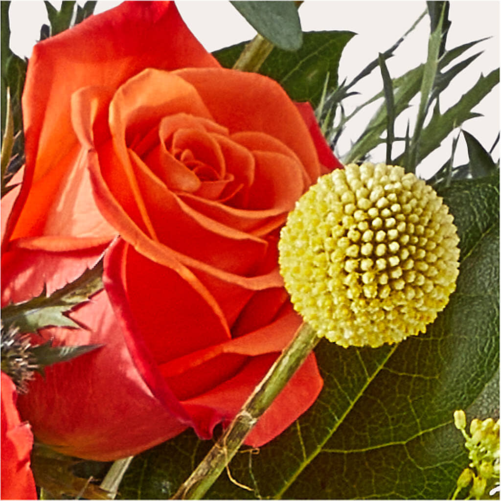 Disco Bouquet –  Nicholasville Florist, Nicholasville KY