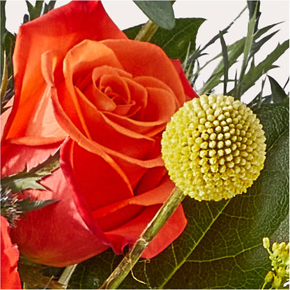 Disco Bouquet –  Nicholasville Florist, Nicholasville KY