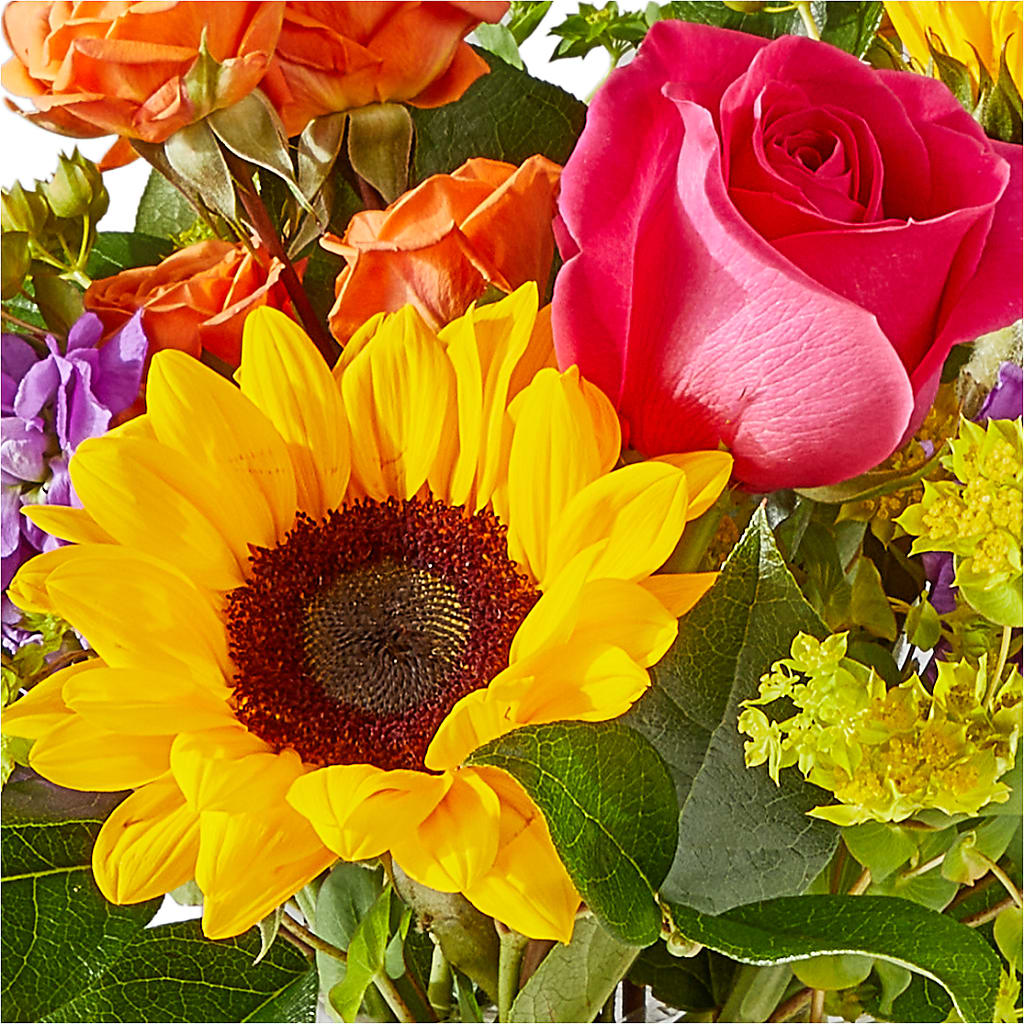 Vibrant Greetings Bouquet –  Nicholasville Florist, Nicholasville KY