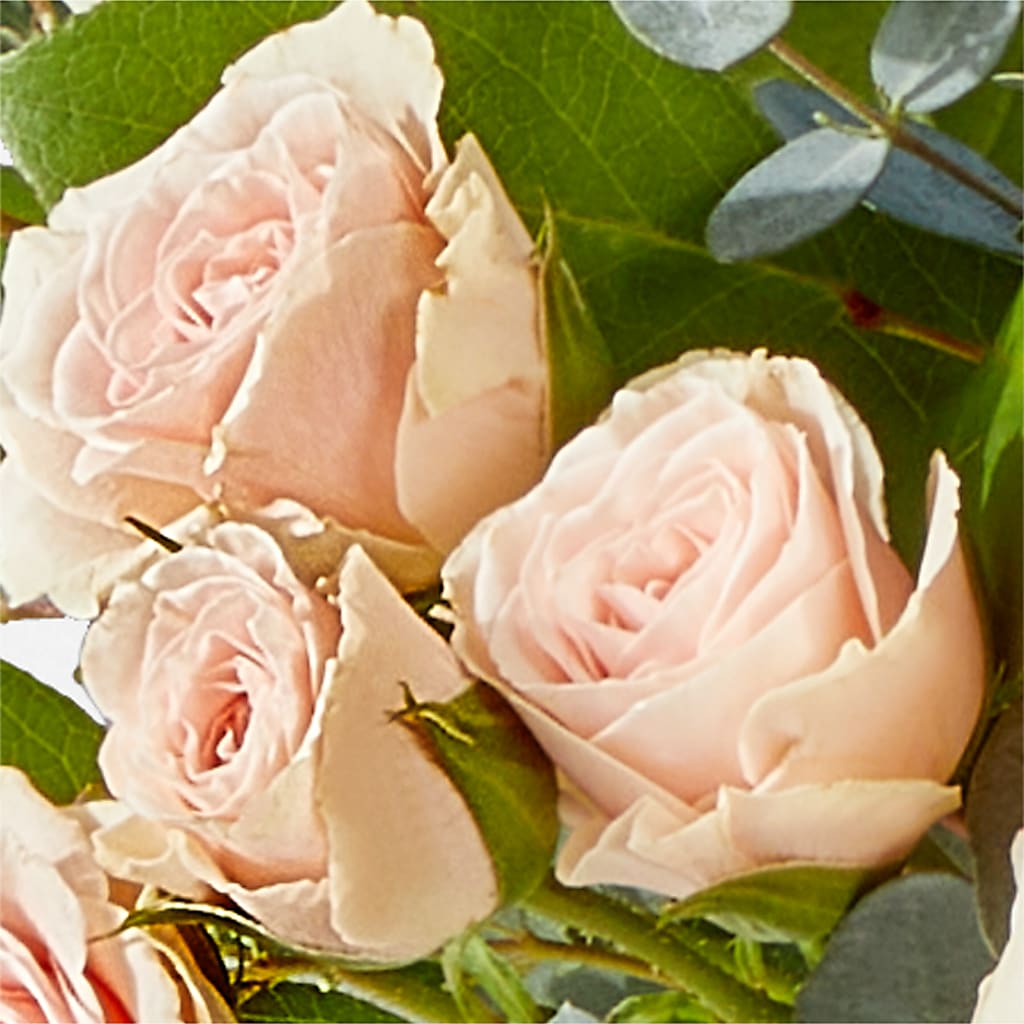 Inspired Bouquet –  Nicholasville Florist, Nicholasville KY