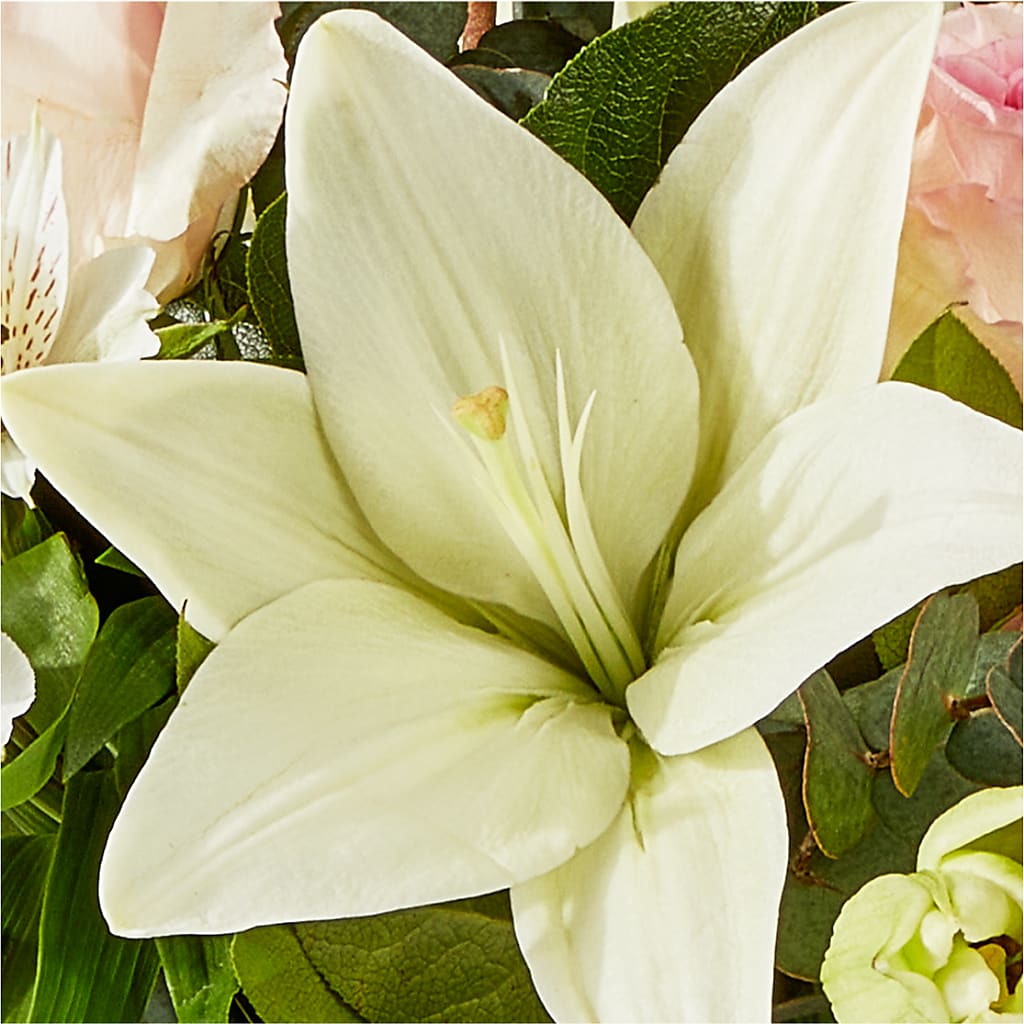 Ballet Slippers Bouquet –  Nicholasville Florist, Nicholasville KY