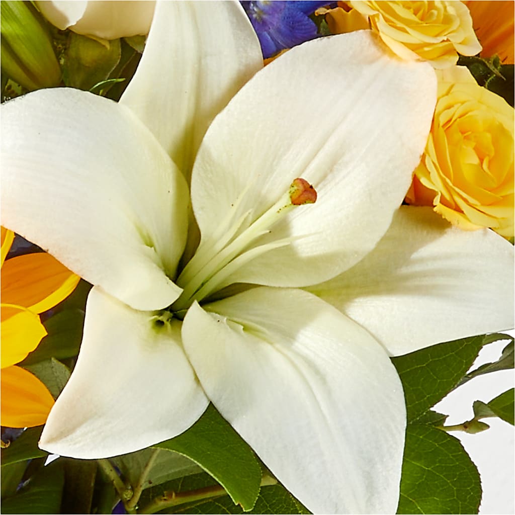 Wonderfully Sunny Bouquet –  Nicholasville Florist, Nicholasville KY