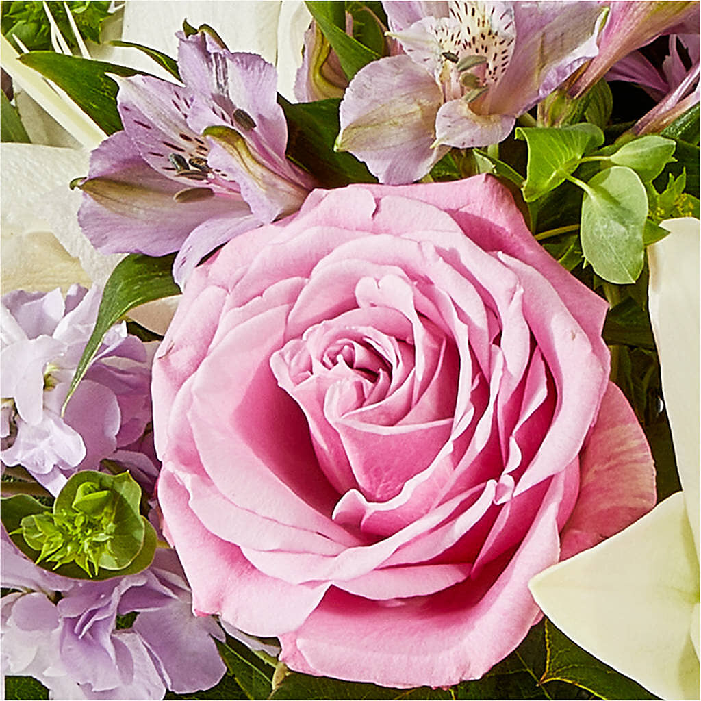 Daydreamer Bouquet –  Nicholasville Florist, Nicholasville KY