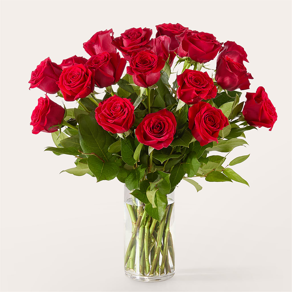 The One Red Rose Bouquet –  Nicholasville Florist, Nicholasville KY