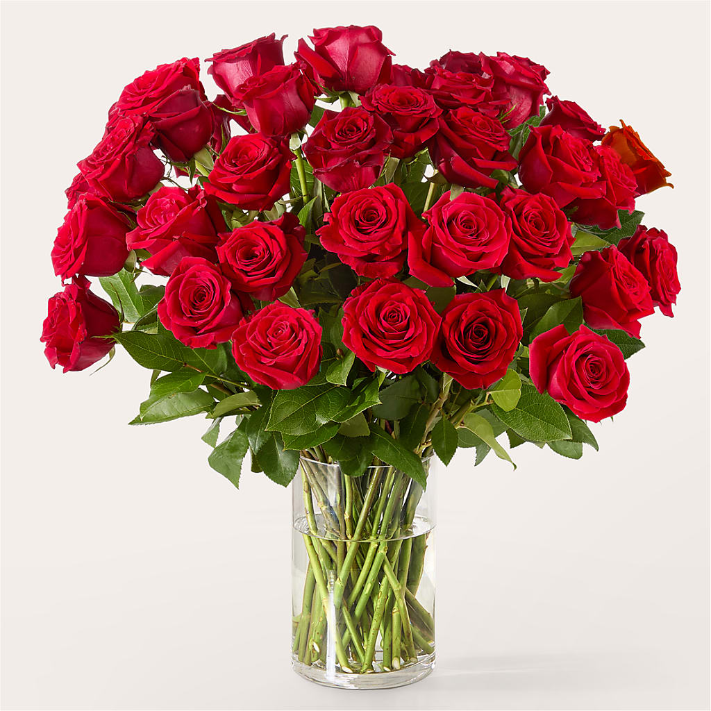The One Red Rose Bouquet –  Nicholasville Florist, Nicholasville KY