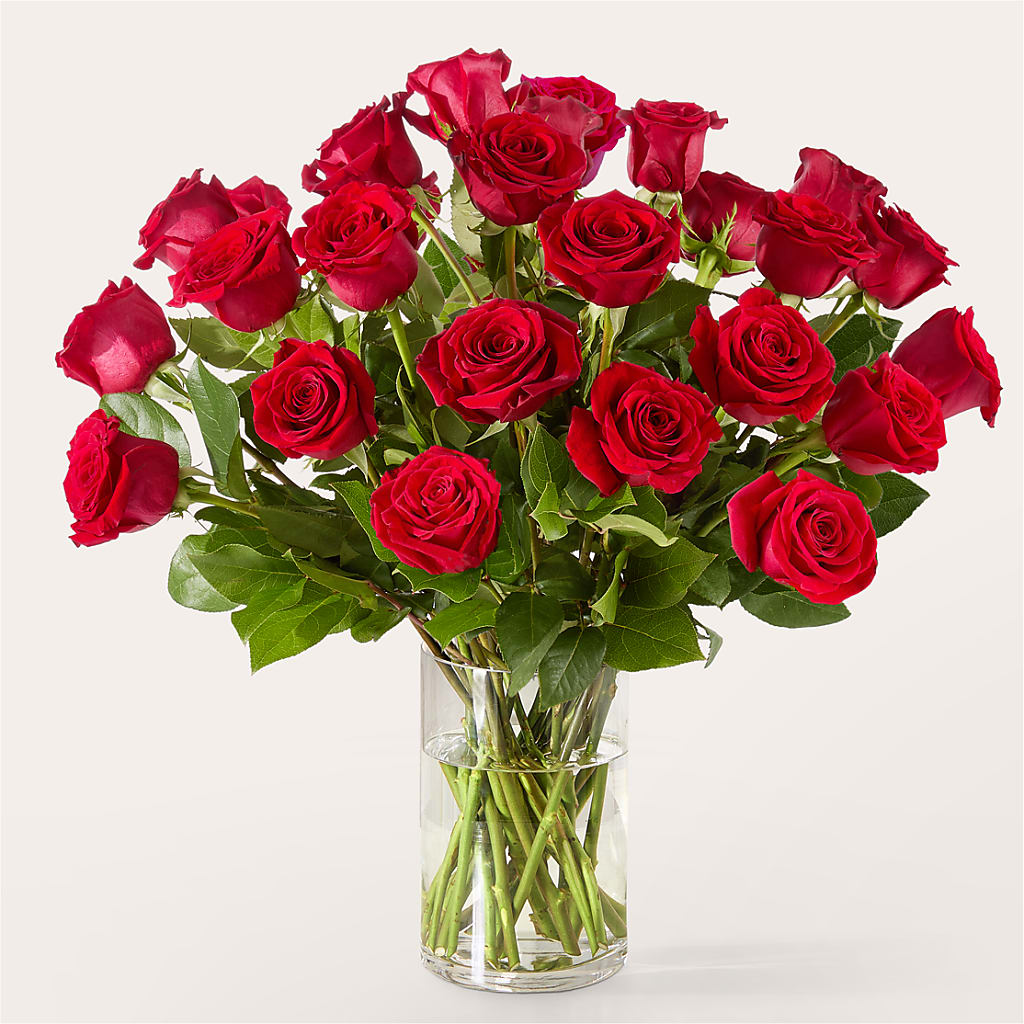 The One Red Rose Bouquet –  Nicholasville Florist, Nicholasville KY