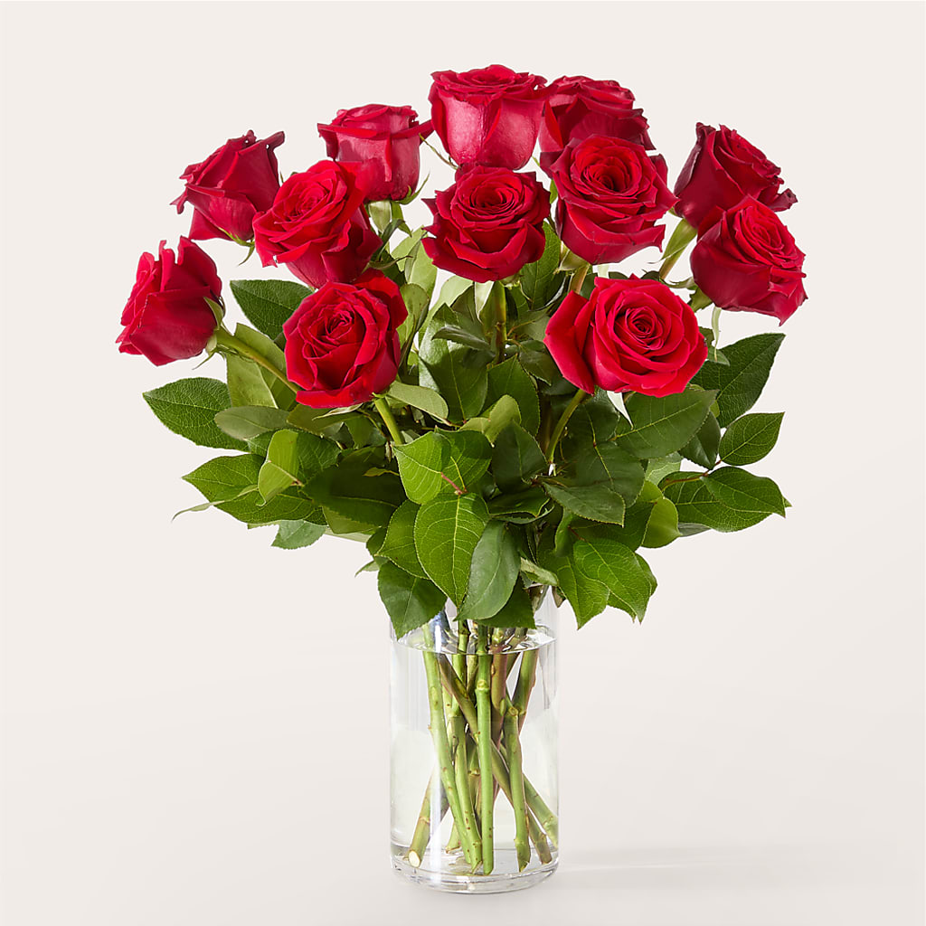The One Red Rose Bouquet –  Nicholasville Florist, Nicholasville KY