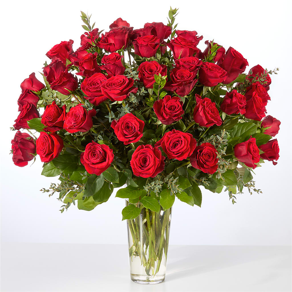 Forever Yours Fifty Stem Red Rose Bouquet –  Nicholasville Florist, Nicholasville KY