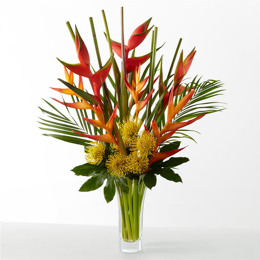 The Drama –  Nicholasville Florist, Nicholasville KY