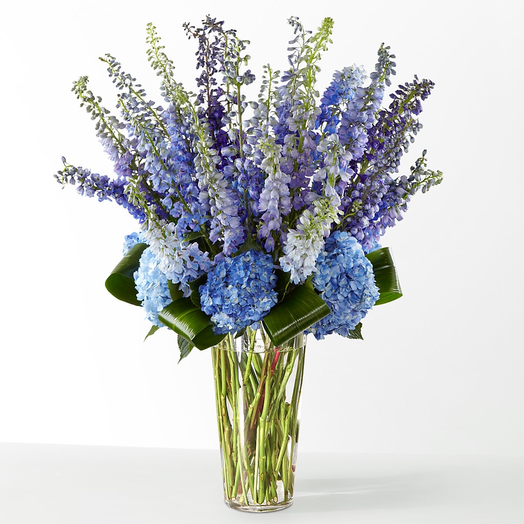 The Editorial –  Nicholasville Florist, Nicholasville KY