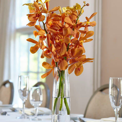 Orange Mokara Bud Vase –  Nicholasville Florist, Nicholasville KY