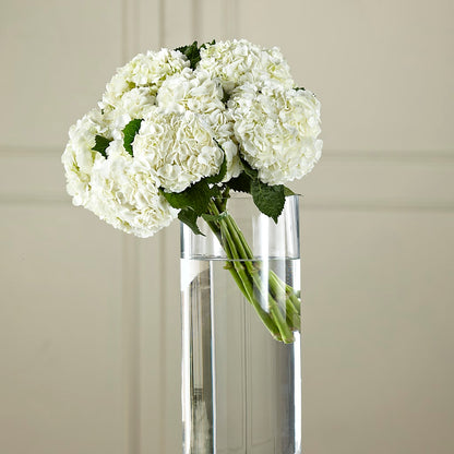 White Hydrangea Hand-Tied Bouquet –  Nicholasville Florist, Nicholasville KY