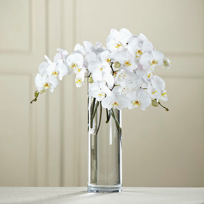 White Phalaenopsis Bouquet –  Nicholasville Florist, Nicholasville KY