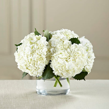 White Hydrangea Bouquet –  Nicholasville Florist, Nicholasville KY