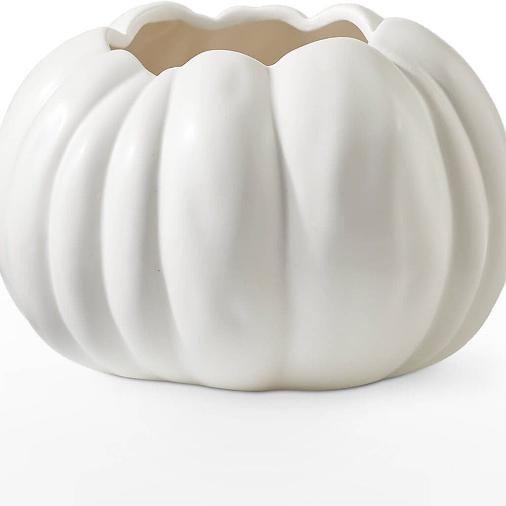 Autumn Air Pumpkin Bouquet –  Nicholasville Florist, Nicholasville KY